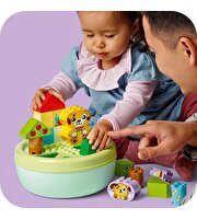 LEGO Duplo Şekil Ayırıcı: Köpek Evi 10441