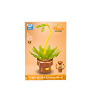 Mega Bitki Çiçekleri Sukulent 152 Parça