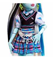 Monster High Ana Karakter Bebekler Frankie Stein HHK53