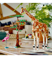 LEGO Creator Vahşi Safari Hayvanları 31150