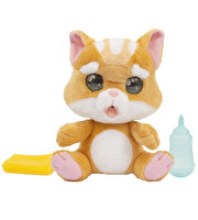 Emotion Pets Evcil Hayvanlar Sarı Kedi