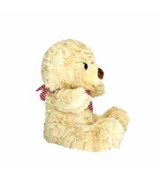 Fularlı Peluş Ayıcık 22 cm.