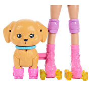 Barbie Pets Paten Macerası Bebek ve Sevimli Köpek Oyun Seti JMJ44