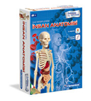 Clementoni İnsan Anatomisi