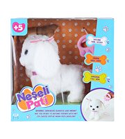 Neşeli̇ Pati Beyaz Köpek