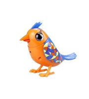 Digibirds İkili Paket Seri 1