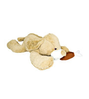 Sevimli Kemikli Köpek