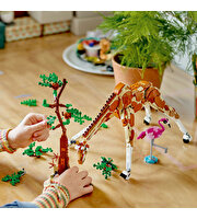 LEGO Creator Vahşi Safari Hayvanları 31150