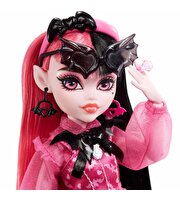 Monster High Ana Karakter Bebekler Draculaura HHK51