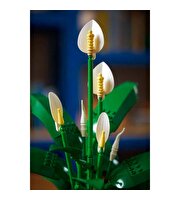 LEGO Botanicals Barış Çiçeği 11504