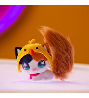 QT Kitties Oli Yavru Kedİ