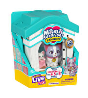 LLP MSF Pati Ailesi Oyun Seti Frenchie Family