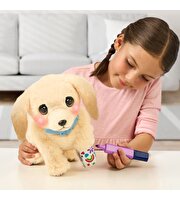 LLP Yavru Köpek İyileşiyor 26679