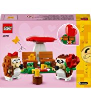 LEGO Iconic Kirpi Pikniği 40711