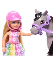 Barbie Chelsea Bebek ve Midilli Figür Seti HTK29