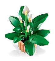 LEGO Botanicals Barış Çiçeği 11504