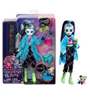 Monster High Creepover Party Frankie Stein HKY68