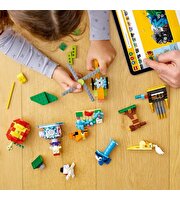 LEGO Classic Yapım Parçaları  ve Fonksiyonlar 11019