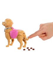 Barbie Malibu ve Köpeği ile Yürüyüş Zamanı Oyun Seti JJB46