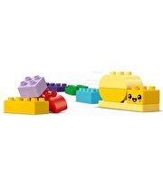 LEGO DUPLO Kasabası Yaratıcı Bahçe ve Çiçekler 10444