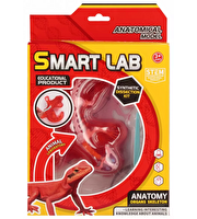 Kertenkele Laboratuvar Seti