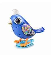 Digibirds İkili Paket Seri 1