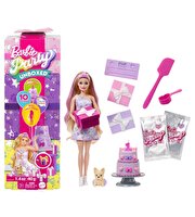 Barbi̇e Party Unboxed Köpeğimin Doğum Günü Serisi̇ JFG70