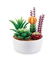 Mini Botanik Bahçe Sürpriz Paket