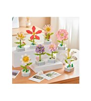 Saksıda Çiçek Yapım Seti Noon Flower