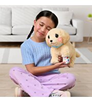 LLP Yavru Köpek İyileşiyor 26679