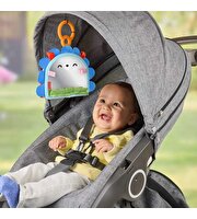 Fisher Price Eğlenceli Kirpi Ayna JHB45