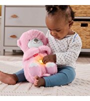 Fisher Price Uyku Arkadaşı Su Samuru Pembe JLJ33