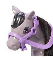 Barbie Chelsea Bebek ve Midilli Figür Seti HTK29