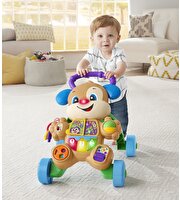 Fisher Price Eğlen ve Öğren Yaşa Göre Gelişim Eğitici Köpekçik Yürüteç FTG10