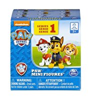 Paw Patrol Sürpriz Mini Figür