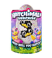 Hatchimals Surprise
