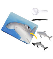 National Geographic Köpek Balığı Bulma Kiti Trhamshdig