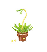 Mega Bitki Çiçekleri Sukulent 152 Parça