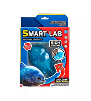 Köpekbalığı Laboratuvar Seti