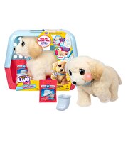 LLP Yavru Köpek İyileşiyor 26679