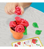 Play Doh Renkli Çiçekler Botanik Oyun Seti G0492