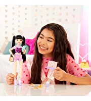 Barbie Dream Besties Renee Bebek ve Aksesuarları HYC24