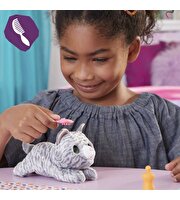 Yenidoğan Minik Dostum Kedicik F4087