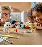 LEGO Creator 3’ü 1 Arada Sevimli Köpekler 31137