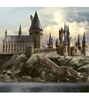 Harry Potter Hafıza Oyunu