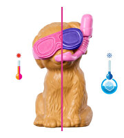 Barbie Köpekçikle Havuz Partisi Oyun Seti JBF35