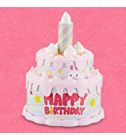 Bay Dreamy Mini Tavşan Doğum Günü Partisi