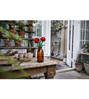 LEGO Iconic Gül 40460