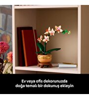 LEGO Botanicals Mini Orkide 10343