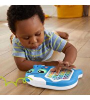 Fisher Price Linkimals Sayı Sayan Balina HJR72